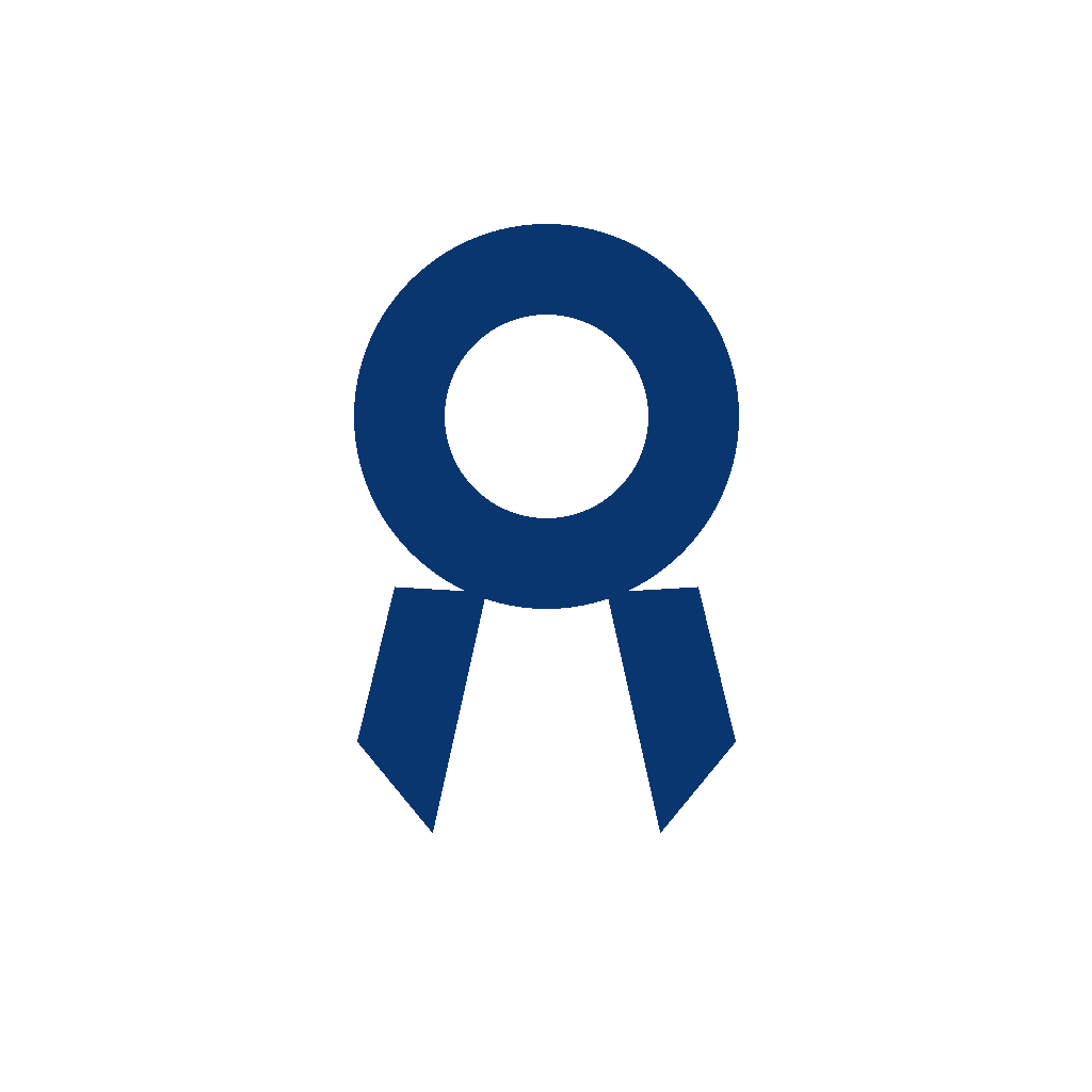 Auszeichnungs-Symbol für professionell entwickelte Websites